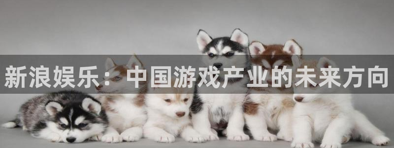 ag街机电子科技怎么样：新浪娱乐：中国游戏产业的未来方向