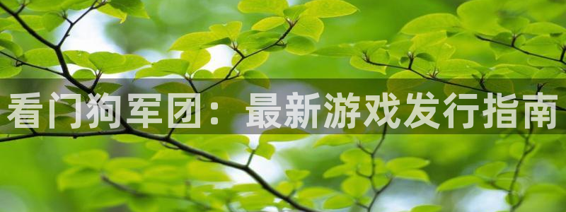 ag街机的寓意：看门狗军团：最新游戏发行指南