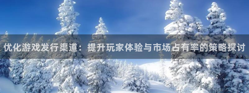 ag街机电子商务有限公司怎么样啊：优化游戏发行渠道：提升玩家体验与市场占有率的策略探讨