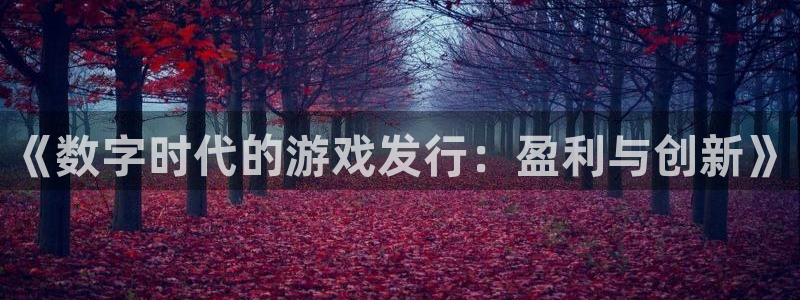 ag街机lvnces是什么档次：《数字时代的游戏发行：盈利与创新》
