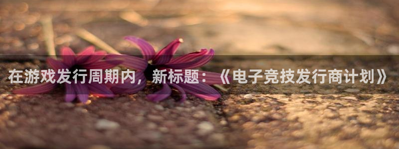 ag街机子财经丛书有哪些：在游戏发行周期内，新标题：《电子竞技发行商计划》