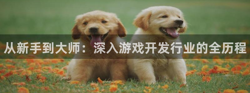 ag街机官网注册方法：从新手到大师：深入游戏开发行业的全历程