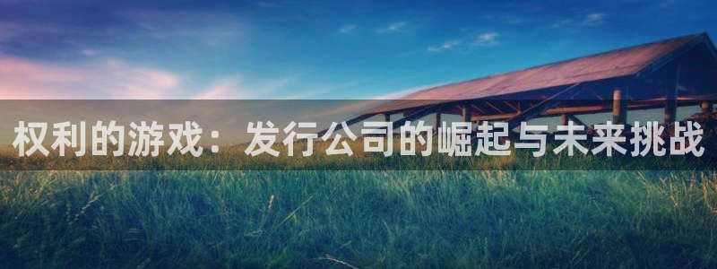 ag街机子教育科技有限公司：权利的游戏：发行公司的崛起与未来挑战