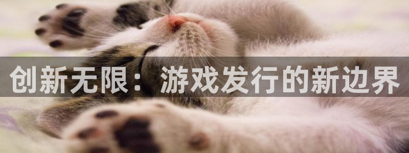 ag街机好还是红狮好：创新无限：游戏发行的新边界