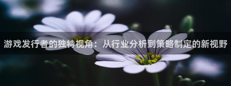 ag街机庄园：游戏发行者的独特视角：从行业分析到策略制定的新视野