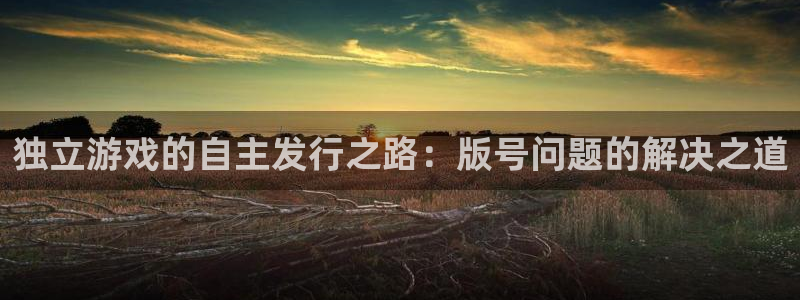 ag街机的寓意：独立游戏的自主发行之路：版号问题的解决之道