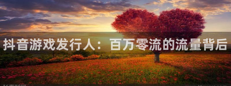 ag街机官网注册平台是什么公司