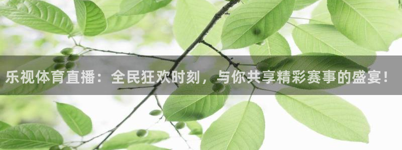 857ty体育直播：乐视体育直播：全民狂欢时刻，与你共享精彩赛事的盛宴！