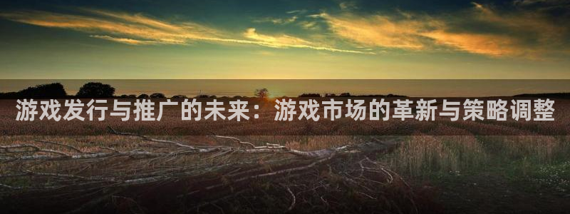 ag街机子公司怎么样知乎：游戏发行与推广的未来：游戏市场的革新与策略调整