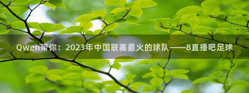 857体育篮球直播：Qwen带你：2023年中国联赛最火的球队——8直播吧足球